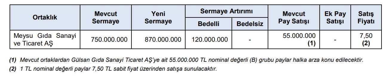 Meysu halka arz tablosu