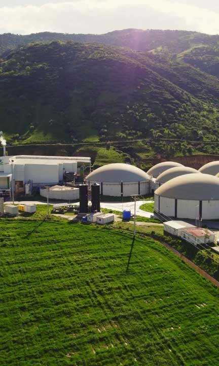 SPK onayladı: Arf Bio yatırımcıyla buluşuyor