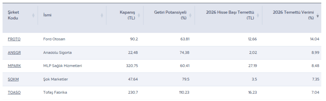 Temettü verimi ve getiri potansiyeli yüksek 5 hisse