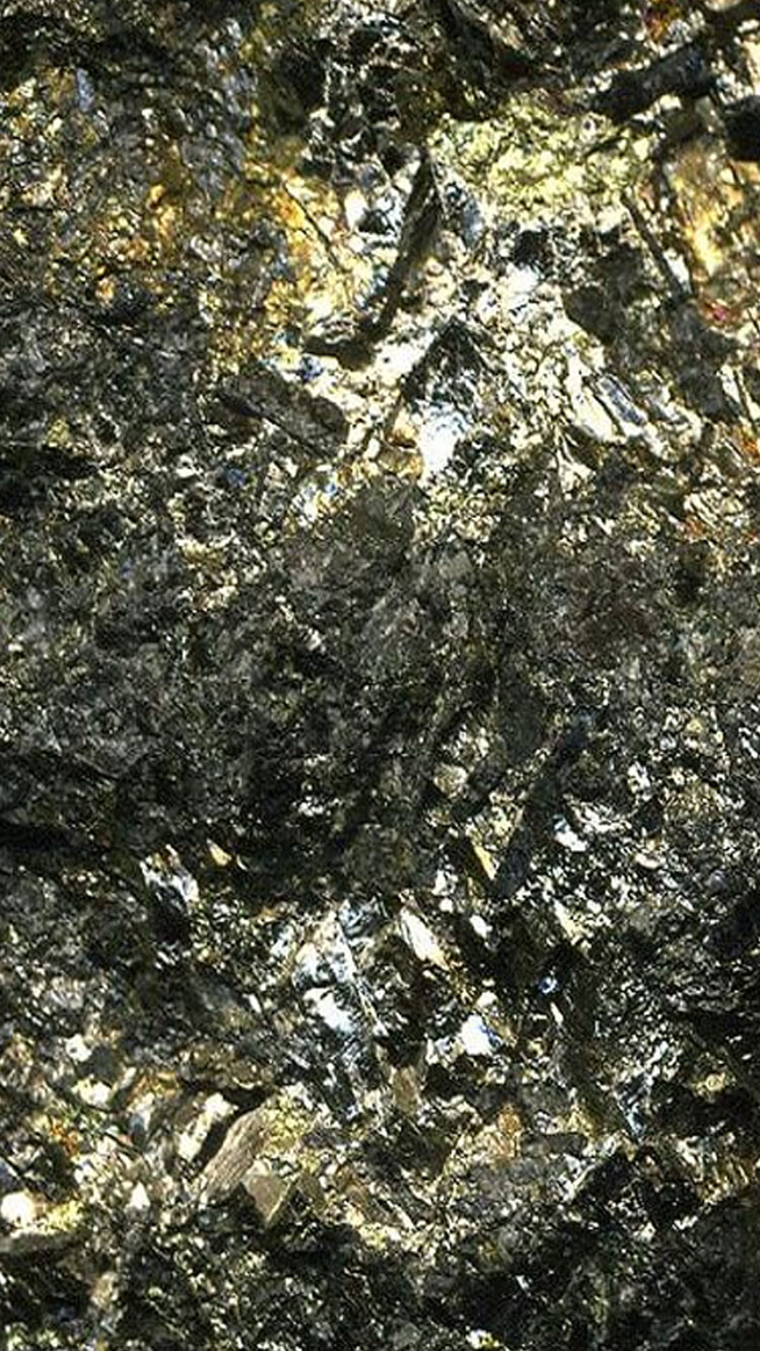 Türk Altın maden cevherinin işlenmesi için protokol imzaladı