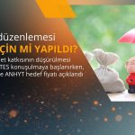 BES düzenlemesi AGESA ve ANHYT için alım fırsatı mı?