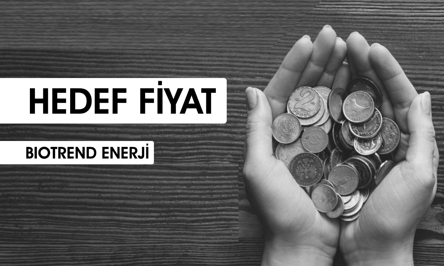 Biotrend Enerji (BIOEN) hedef fiyat: 24 TL’yi aşması bekleniyor