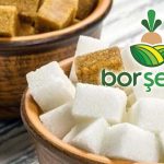 Bor Şeker 2025’i 128,5 milyon TL zararla kapattı
