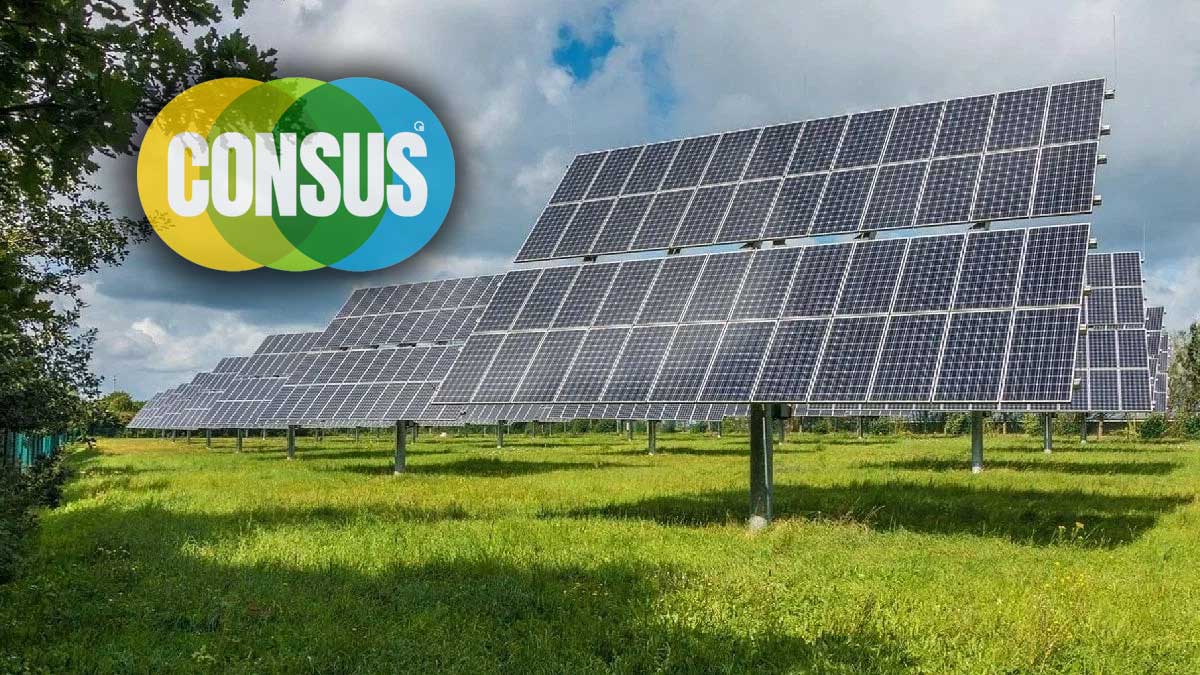 Consus Enerji’de not düşüşü: Görünüm “Durağan” kaldı