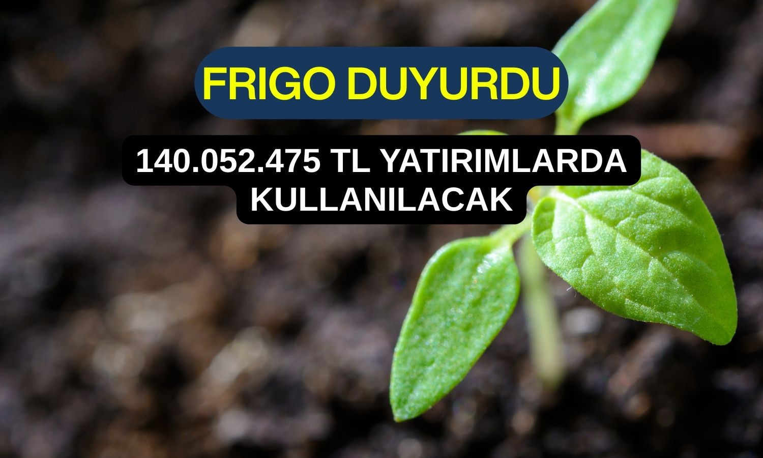 FRIGO bedelli fonunun yüzde 95’ini yatırımlara ayıracak