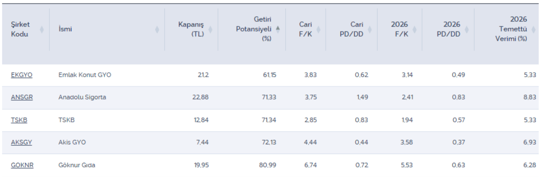 Getiri potansiyeli yüksek ve temettü verimi beklenen 5 hisse
