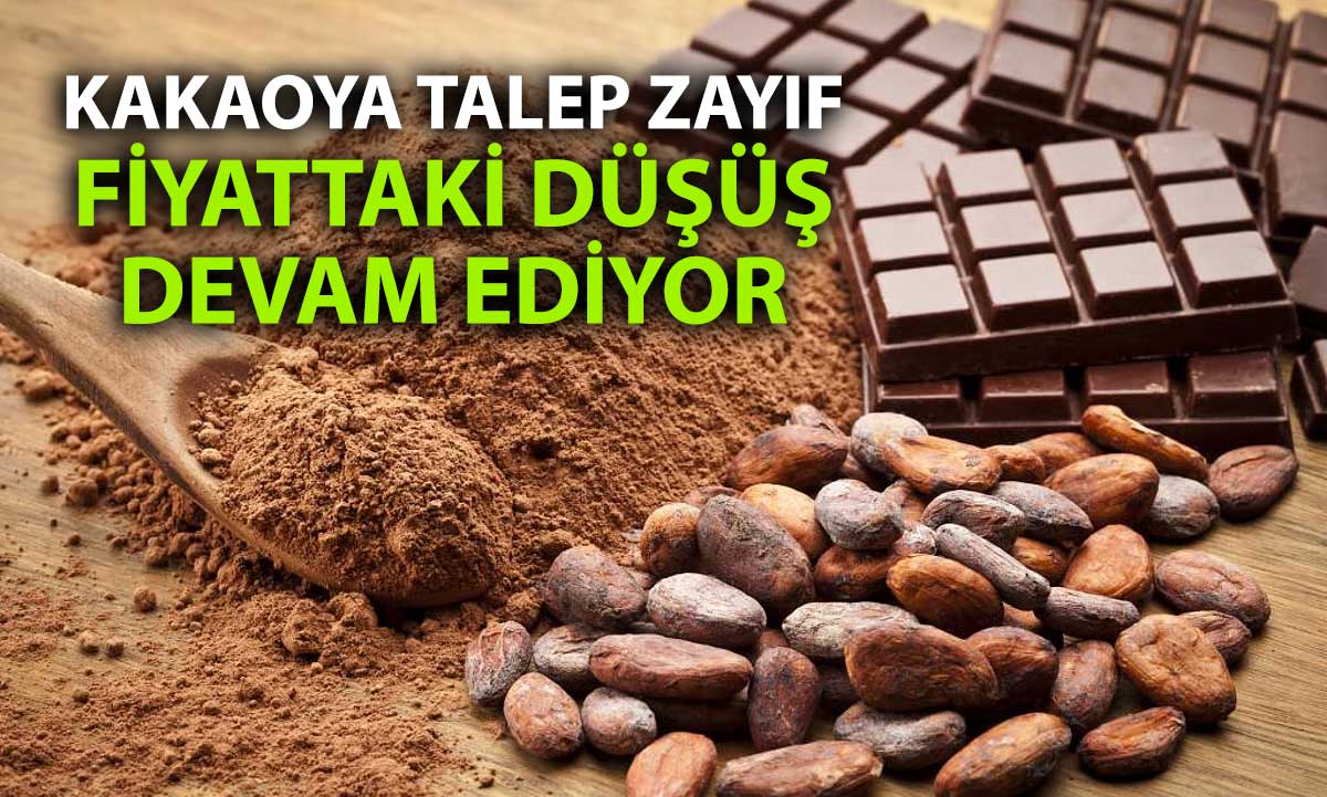 Kakao fiyatlarında düşüş hız kesmiyor: Yeni yılda da kayıp sürüyor