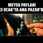 Meysu Gıda 9 BIST endeksine dahil edildi