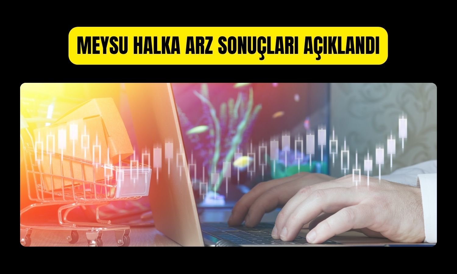 Meysu Gıda halka arzına 8,5 kat talep geldi!