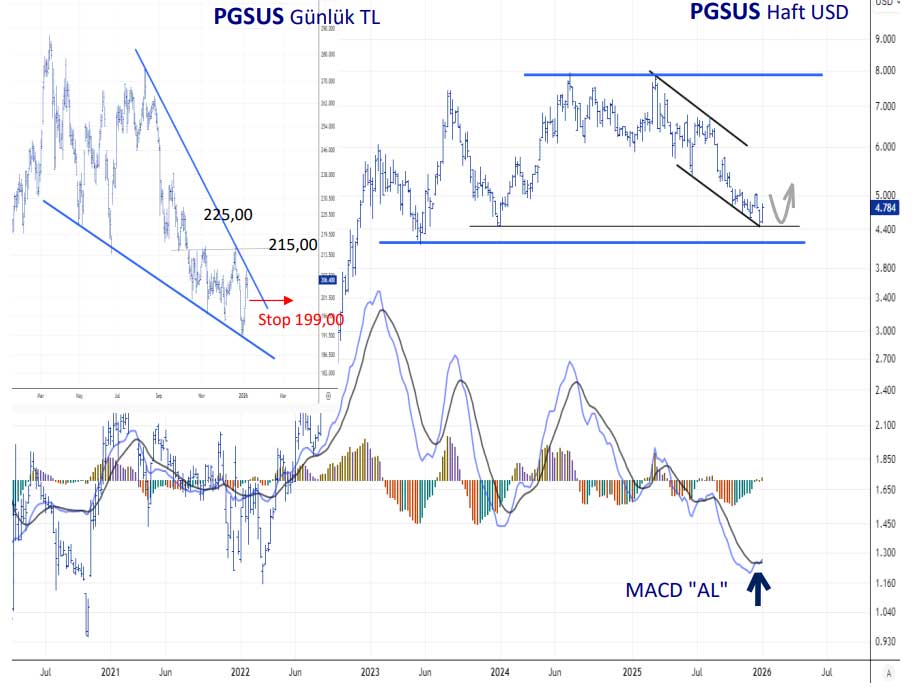 PGSUS teknik görünüm PGSUS teknik görünüm