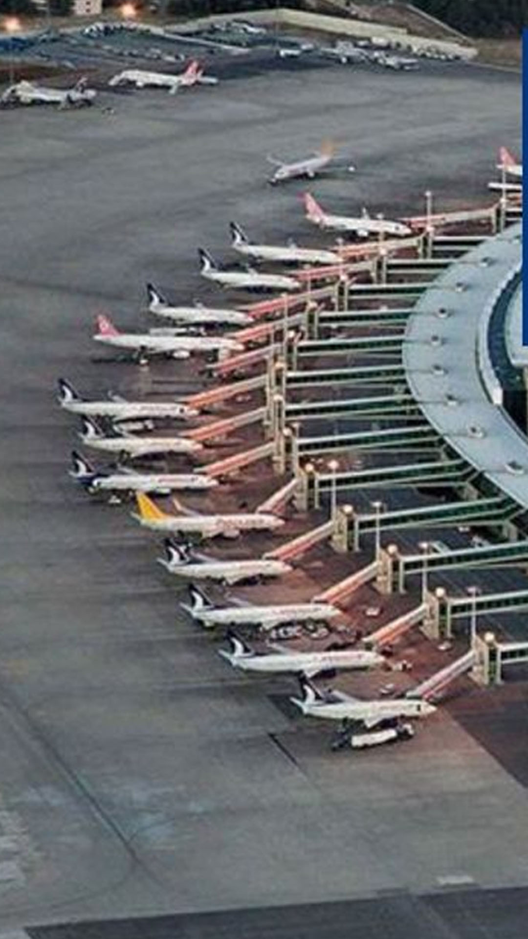 Tav Havalimanları Tunus operasyonları için açıklama yaptı