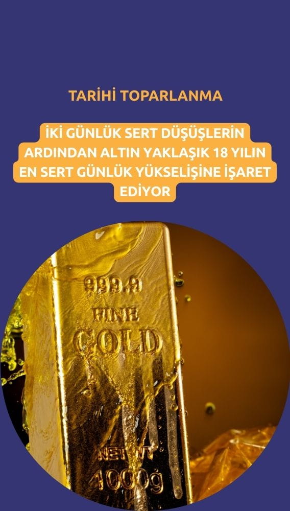 Altında 2008'den bu yana en sert günlük yükseliş