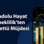 Anadolu Hayat Emeklilik (ANHYT) 6,9 TL temettü verecek