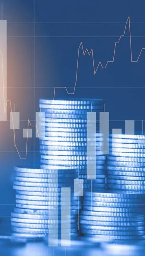 Anadolu Hayat Emeklilik (ANHYT) 6,9 TL temettü verecek