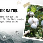 DCT Trading’den (DCTTR) pamuk satışı açıklaması