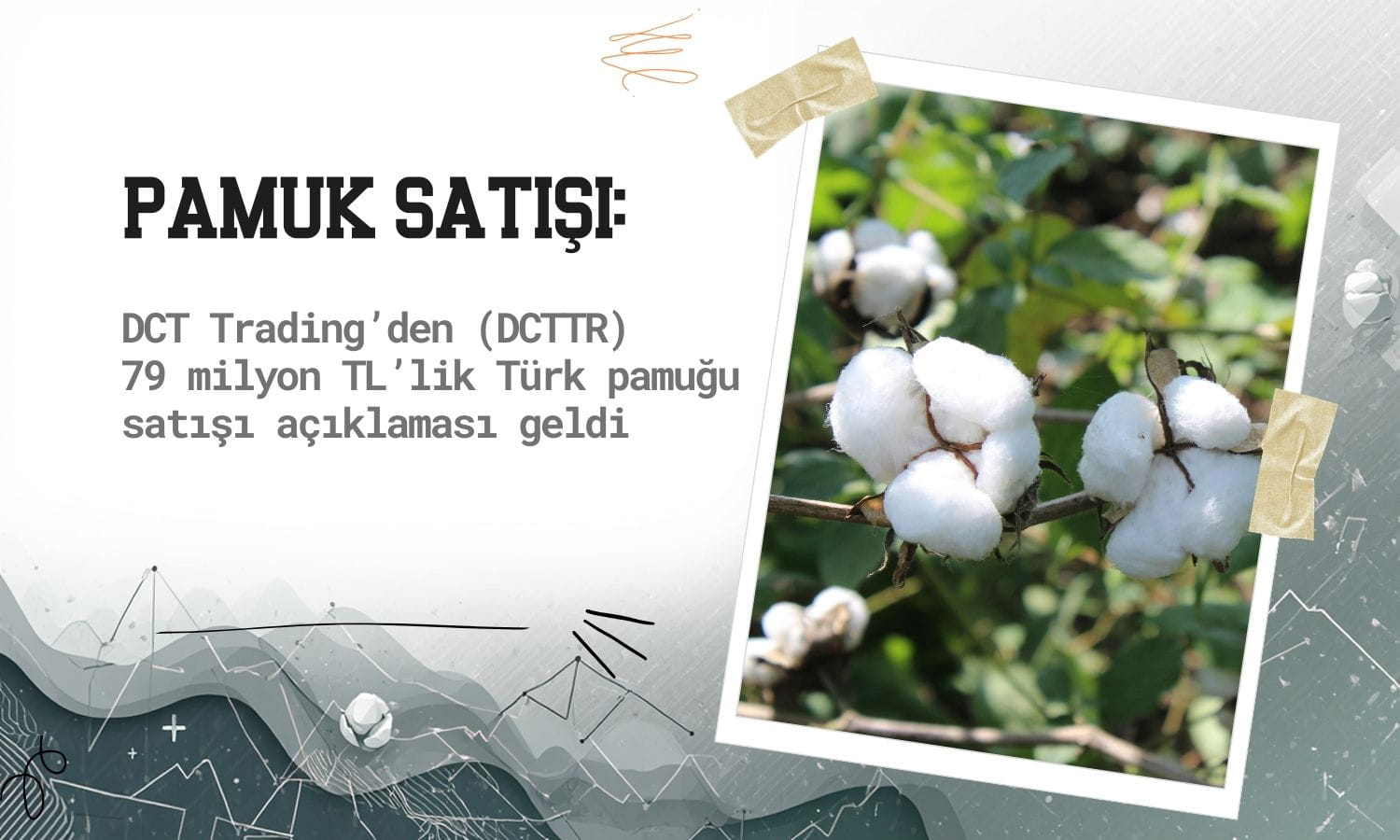 DCT Trading’den (DCTTR) pamuk satışı açıklaması