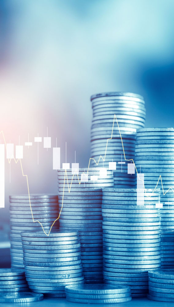 Doğuş Otomotiv’den temettü duyurusu! İki taksitle verecek