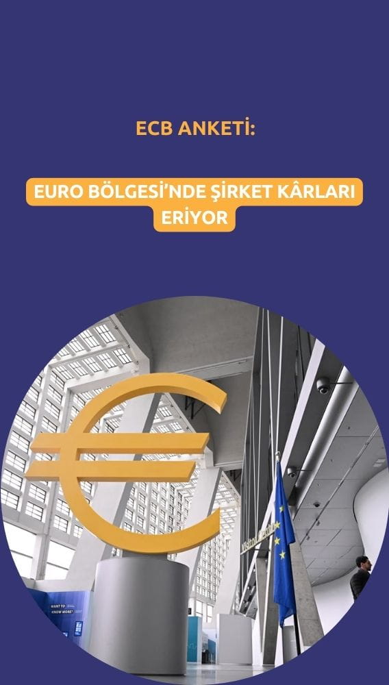 ECB anketi: Euro Bölgesi şirketlerinde kârlar eriyor