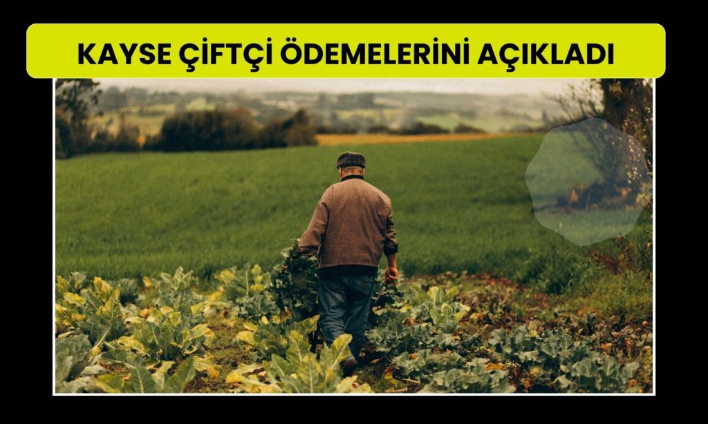 Kayseri Şeker’den 11,3 milyar TL’lik pancar ödemesi