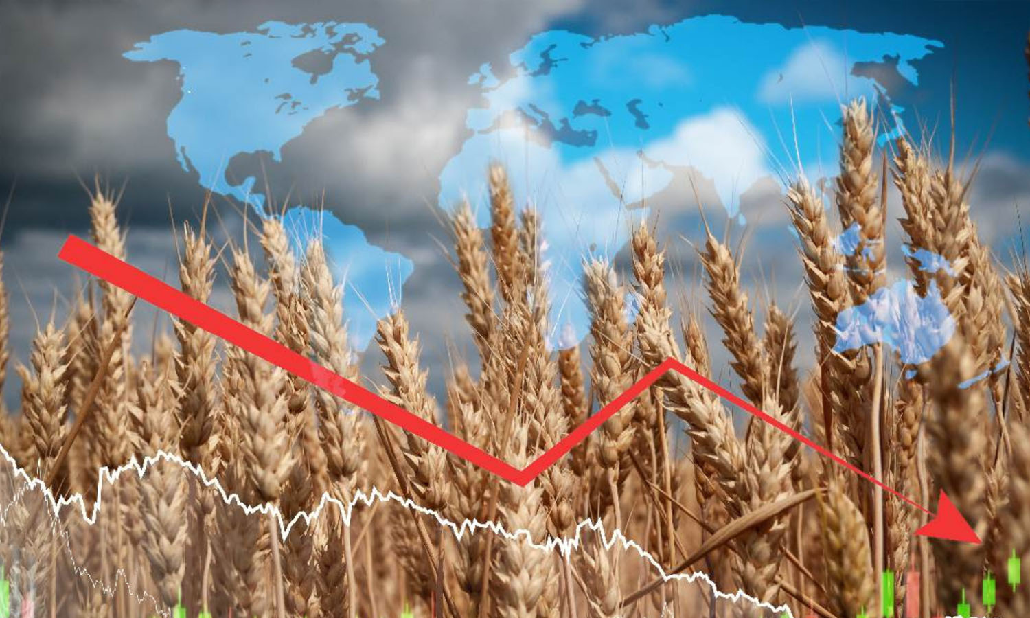 Küresel gıda fiyatları 2026’nın Ocak ayında düşüş gösterdi