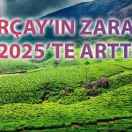 Orçay 2025’te satışlarını artırdı: Zararı 161 milyon TL’ye ulaştı