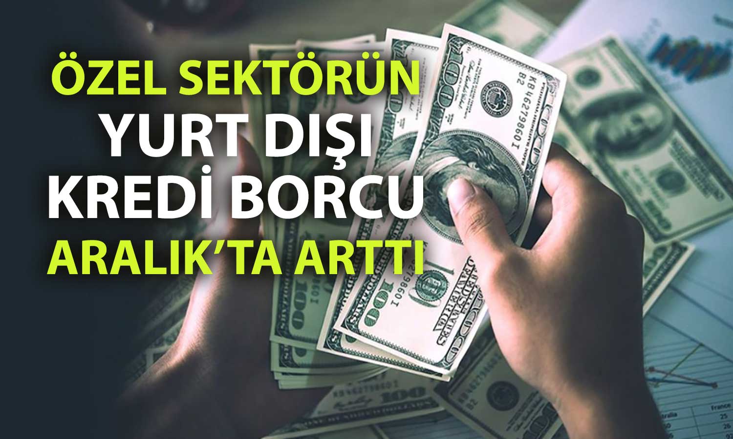 Özel sektörün yurt dışı borcunda 12.1 milyar dolarlık artış