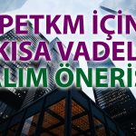 PETKM’de yükseliş devam edecek mi? Hedefler verildi