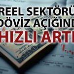 Reel sektörün döviz açığı 7 yılın en yükseğini gördü