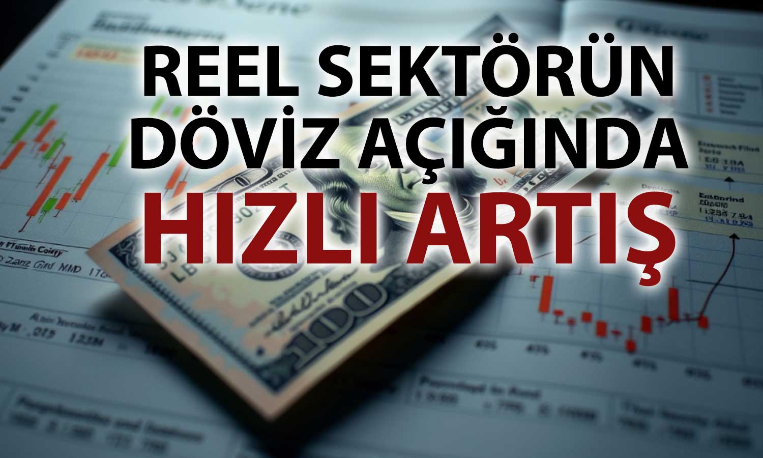 Reel sektörün döviz açığı 7 yılın en yükseğini gördü