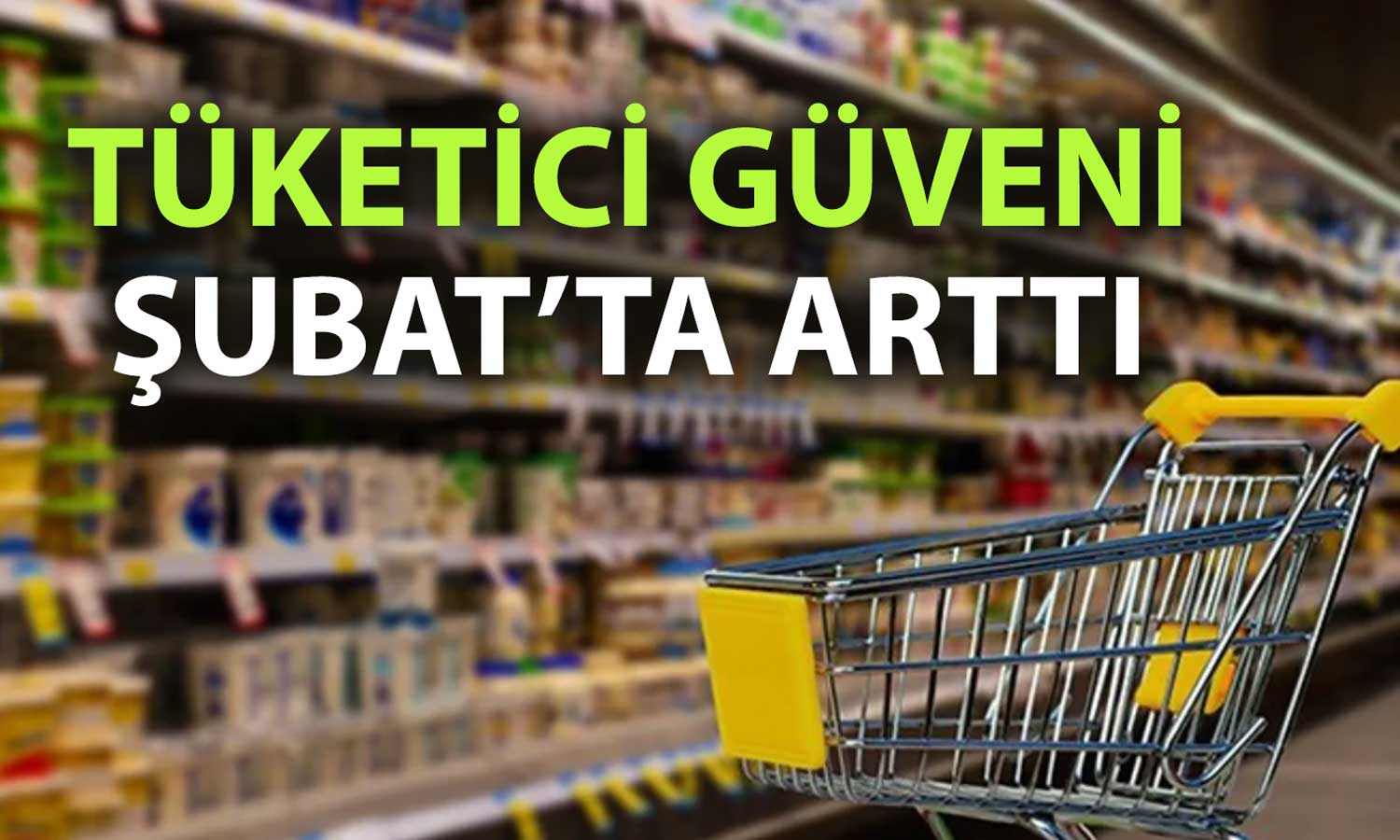 Tüketici güveni Şubat’ta toparlandı