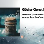 Aksa Akrilik (AKSA) Genel Kurulu Mart sonunda temettüye karar verecek