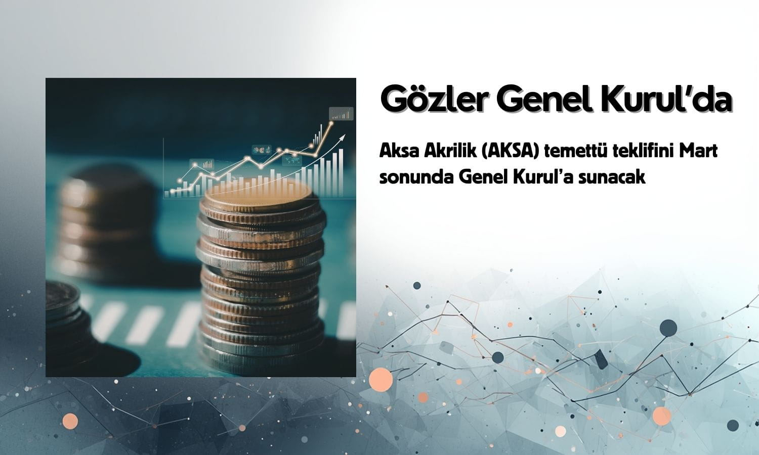 Aksa Akrilik (AKSA) Genel Kurulu Mart sonunda temettüye karar verecek
