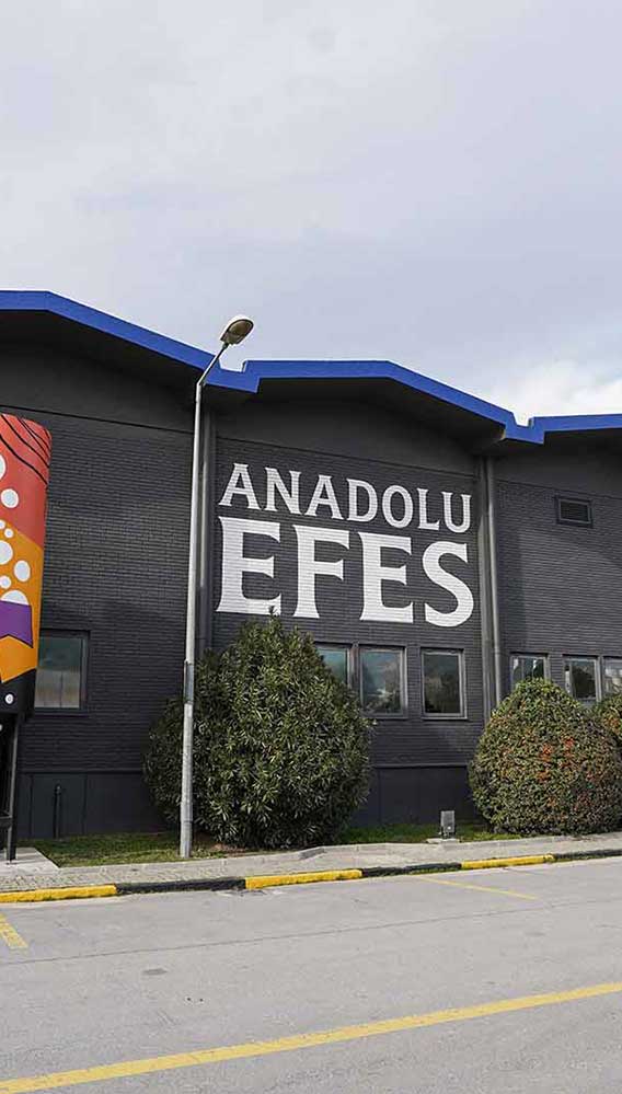 Anadolu Efes'in 2025 net karı yarı yarıya geriledi