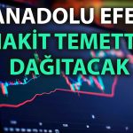 Anadolu Efes’ten 2 milyar TL’lik temettü teklifi