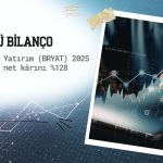 Borusan Yatırım (BRYAT) net kârı 2025’te güçlü arttı