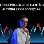 Doğuş Otomotiv için hedef fiyat 305 TL’ye çekildi