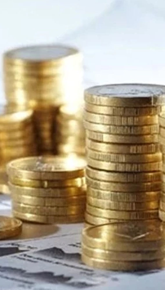 Ebebek genel kurulda onayladı: İki taksitle temettü verecek