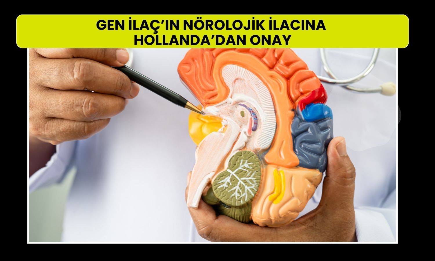 Gen İlaç’ın Alzheimer ilacı Faz 2 aşamasına geçiyor