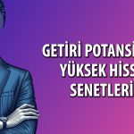 Getiri potansiyeli yüksek 5 hisse: FROTO listeye girdi
