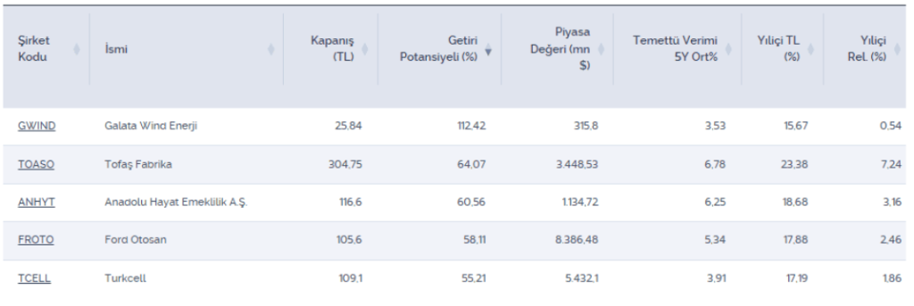 Getiri potansiyeli yüksek 5 hisse: FROTO listeye girdi | Paratic