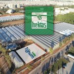 Hektaş 2025’te kayıplarını derinleştirdi: 4 milyar TL net zarar