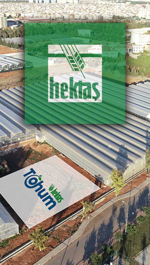 Hektaş 2025'te kayıplarını derinleştirdi: 4 milyar TL net zarar