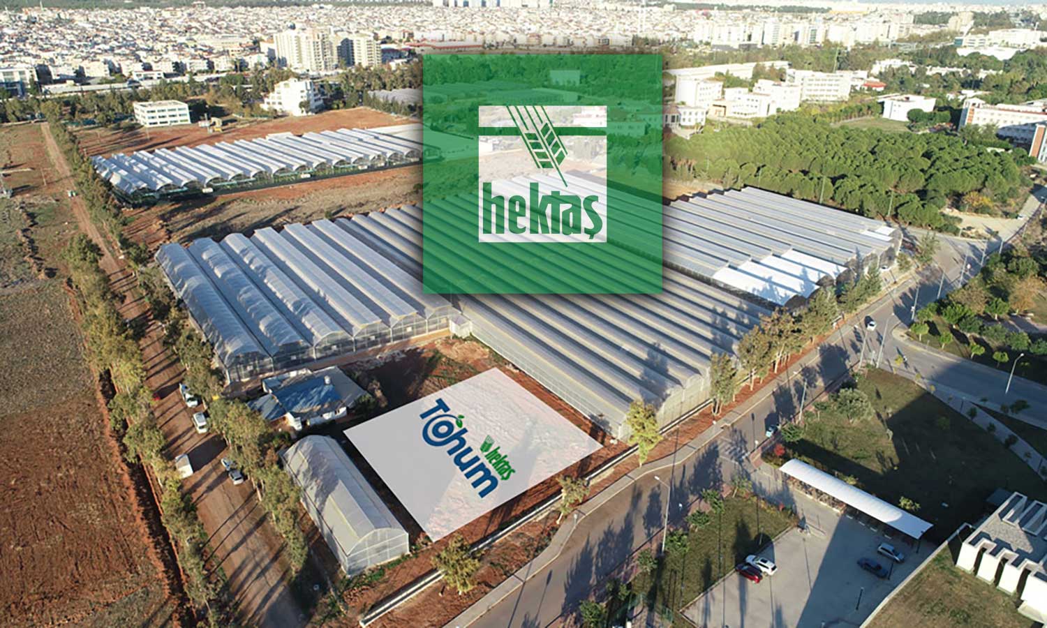 Hektaş 2025’te kayıplarını derinleştirdi: 4 milyar TL net zarar