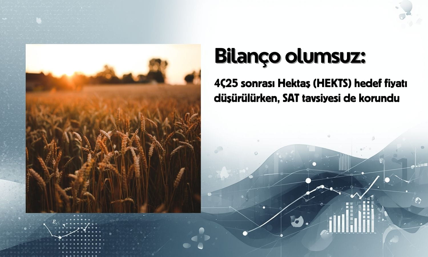 Hektaş (HEKTS) hedef fiyatı düştü: Sat tavsiyesi sürüyor