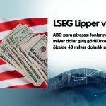 Küresel ölçekte para piyasası fonlarına 48 milyar dolarlık giriş