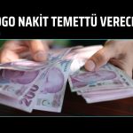 Logo Yazılım’dan 500 milyon TL nakit temettü teklifi