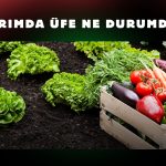 Tarımda üretici enflasyonu aylık yüzde 0,21 arttı!