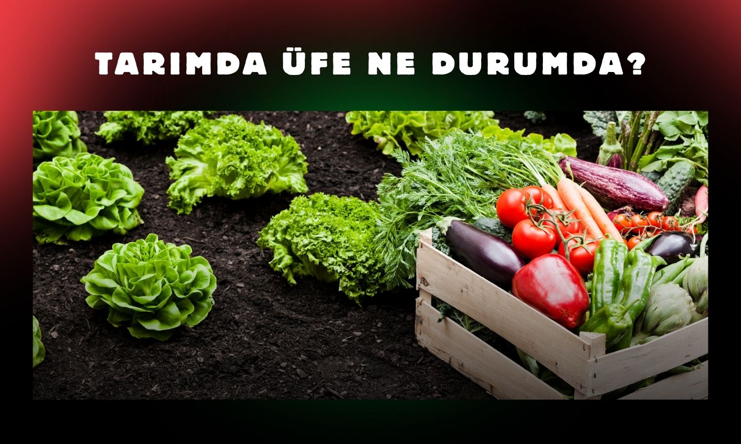 Tarımda üretici enflasyonu aylık yüzde 0,21 arttı!