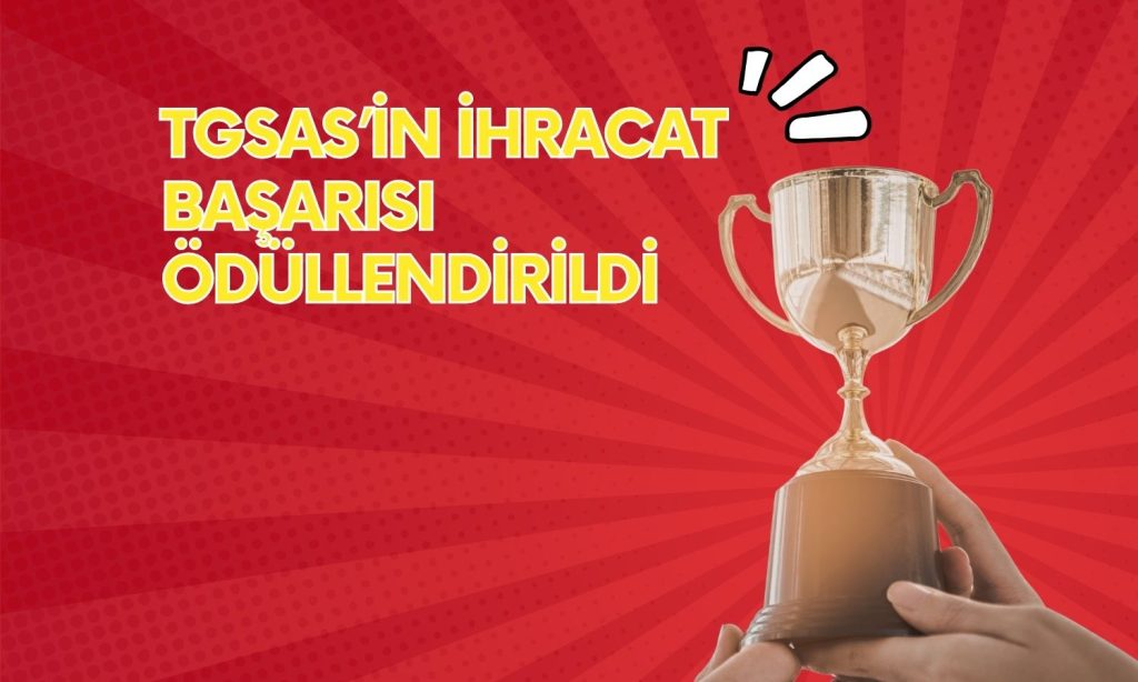 TGS Dış Ticaret’e İTHİB Platin Başarı Ödülü