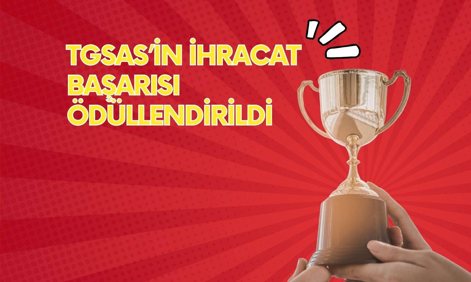 TGS Dış Ticaret’e İTHİB Platin Başarı Ödülü